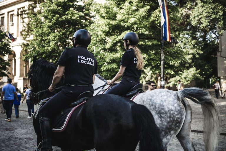 Planul Poliției Locale Cluj-Napoca pentru 2026: ordine și siguranță publică, aprobat de consilieri