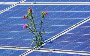Romania, record de productie solara: aproape 3.000 MW pe 26 iunie