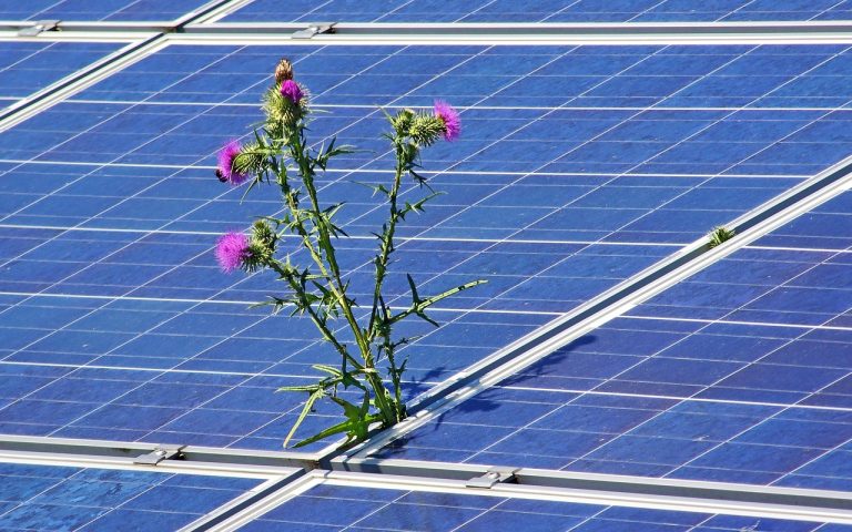 Romania, record de productie solara: aproape 3.000 MW pe 26 iunie