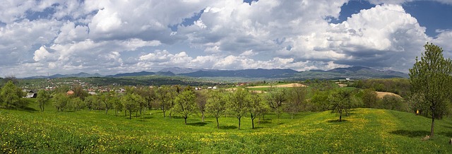Fermieri polonezi au venit în Cluj să vadă cum funcționează agricultura clujeană