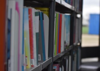 Cinci zile în care te înscrii gratuit la bibliotecă: ce găsesc copiii, adolescenții și adulții la Zilele Bibliotecilor d